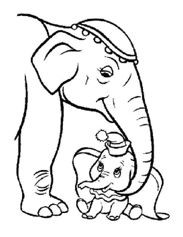 Раскраска детеныша слона (детеныши, слоны, слоненок, слониха)