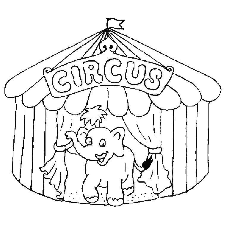 Раскраска с изображением цирка, слона и палатки (цирк, палатка)