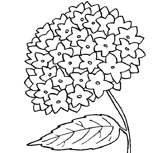 Раскраска сложных маленьких цветочков для детей (цветочки)