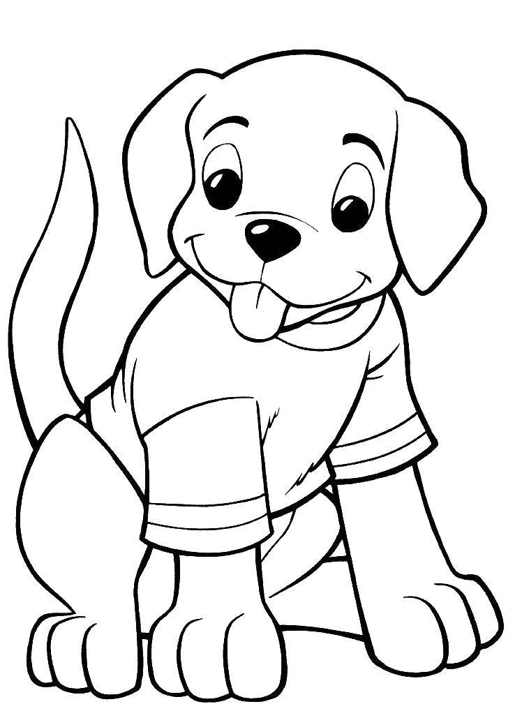 Раскраска домашние животные собака для малышей (собака, породы)