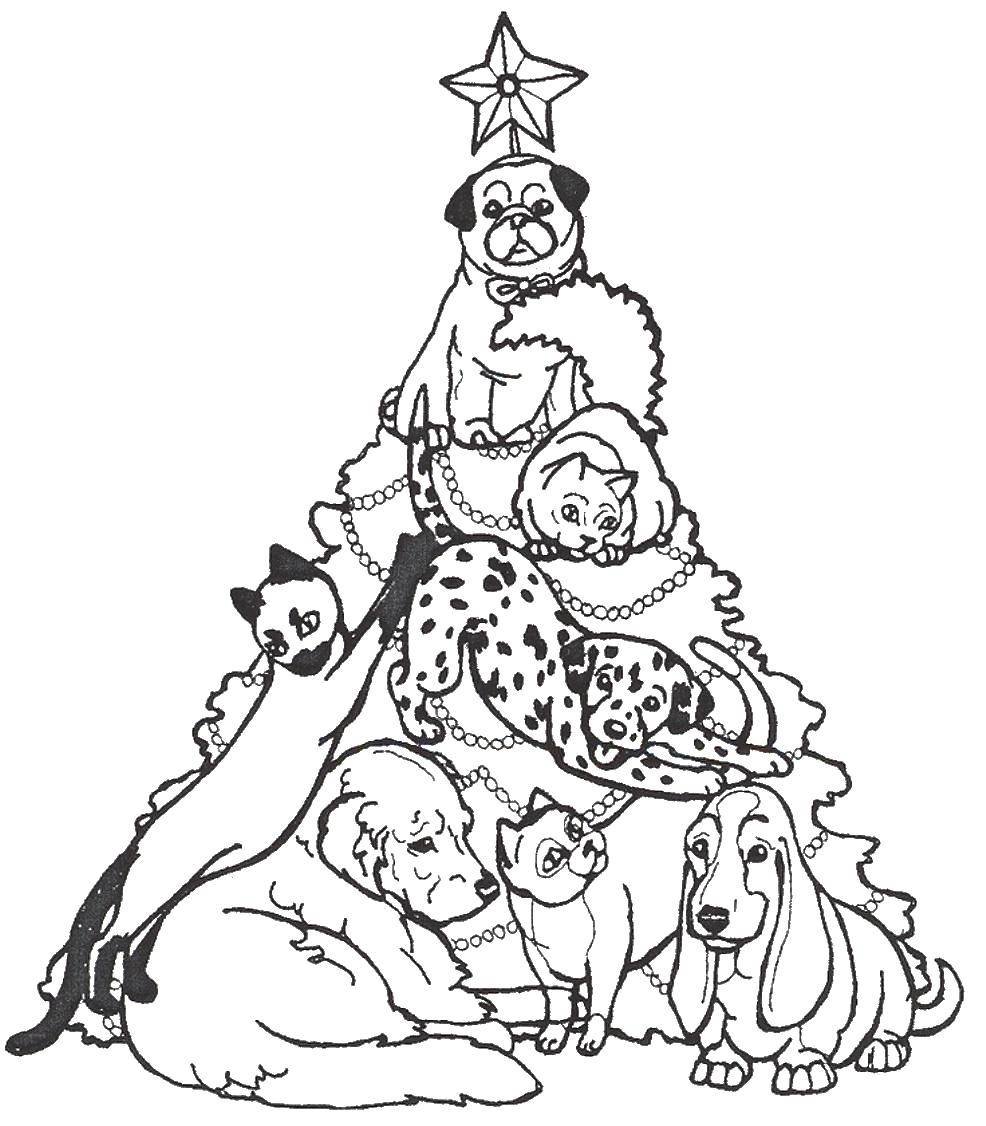 Раскраска на тему Рождество: Собака, Кошки, Елка (кошки, елка, развивающие)