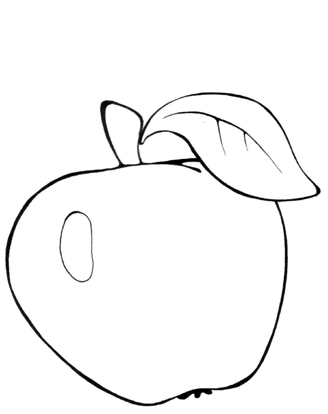Раскрашенное изображение фруктов и яблока (фрукты, яблоко)