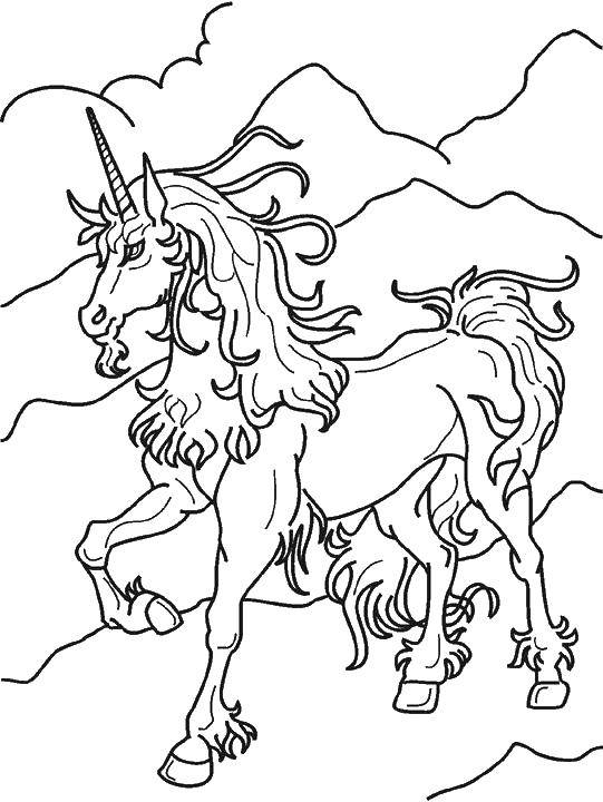 Раскраска с единорогом и лошадкой (единороги, дети)