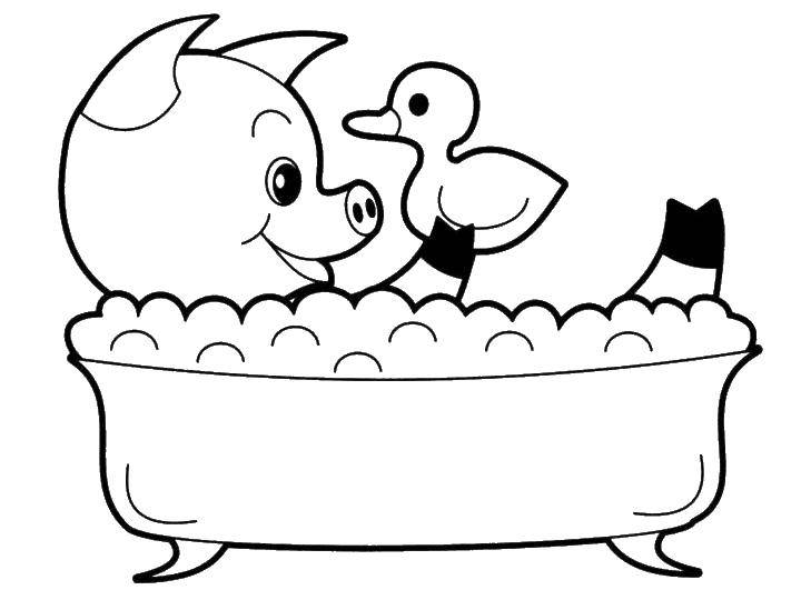 Раскраска свиньи, которая принимает ванну (свинья, ванна)