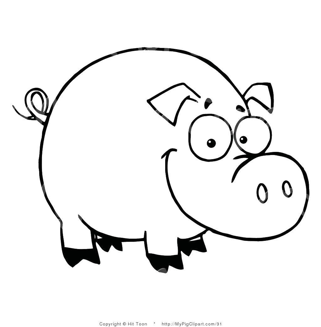 Контур свиньи для вырезания - раскраска свинья, копилка, хвост (свинья, контур, копилка, хвост)