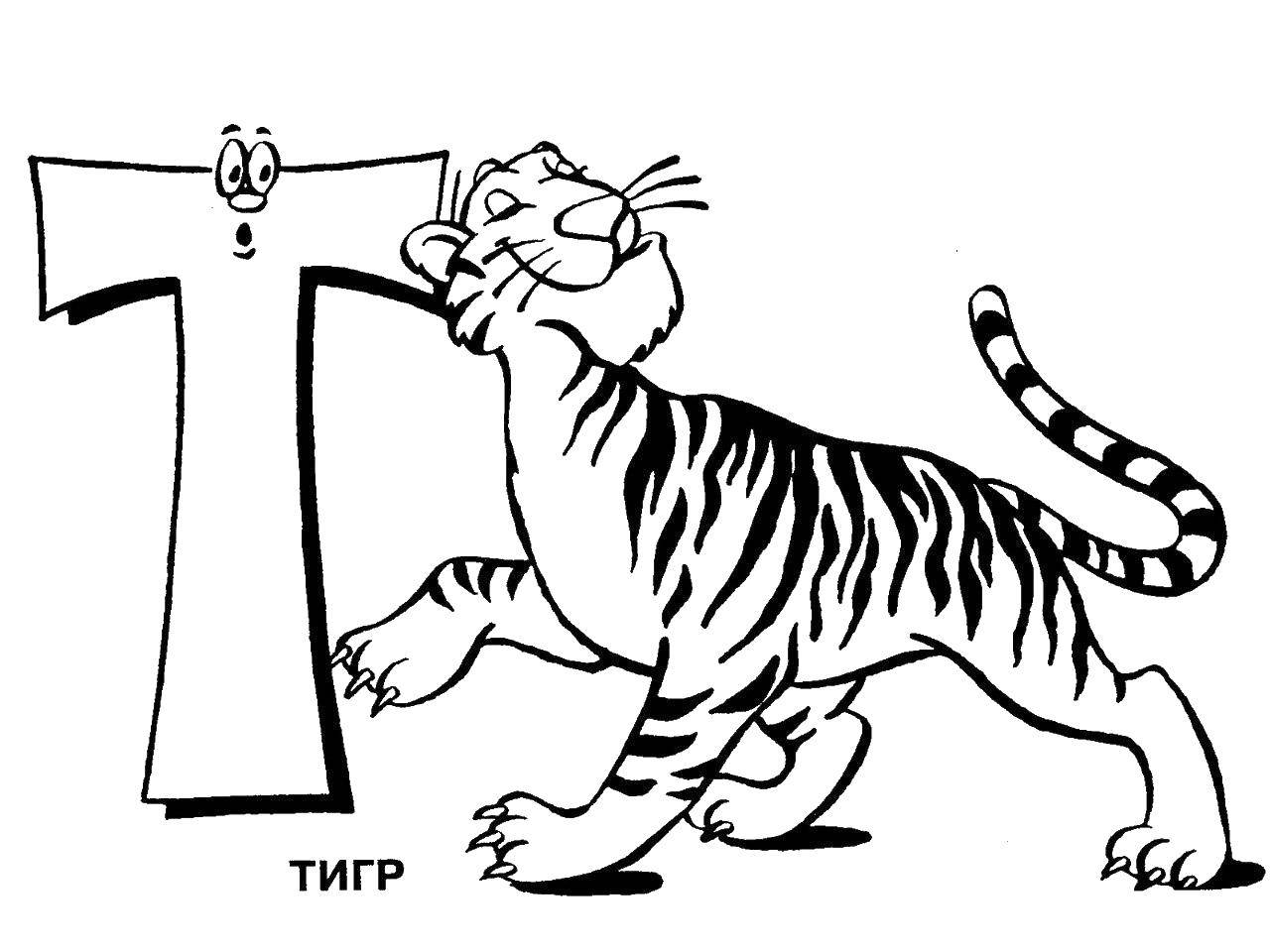Раскраска алфавита с тигром для детей (тигр)