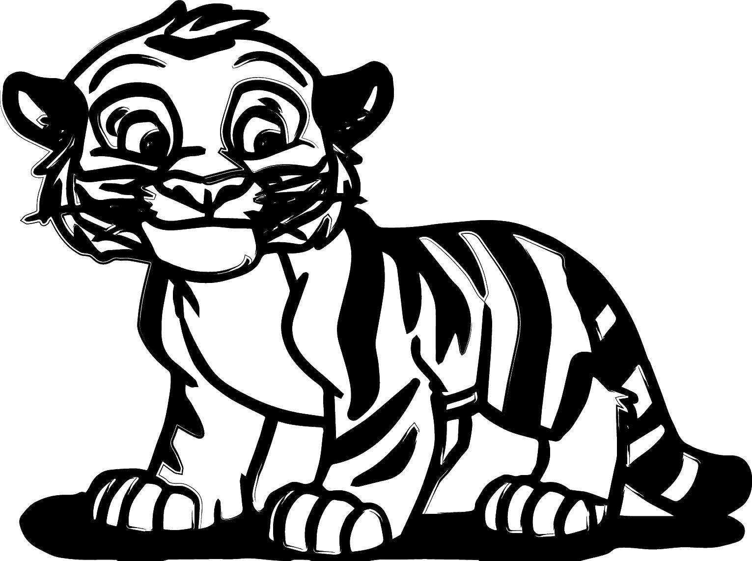Раскраска тигра для детей (тигр, зебра, слон)