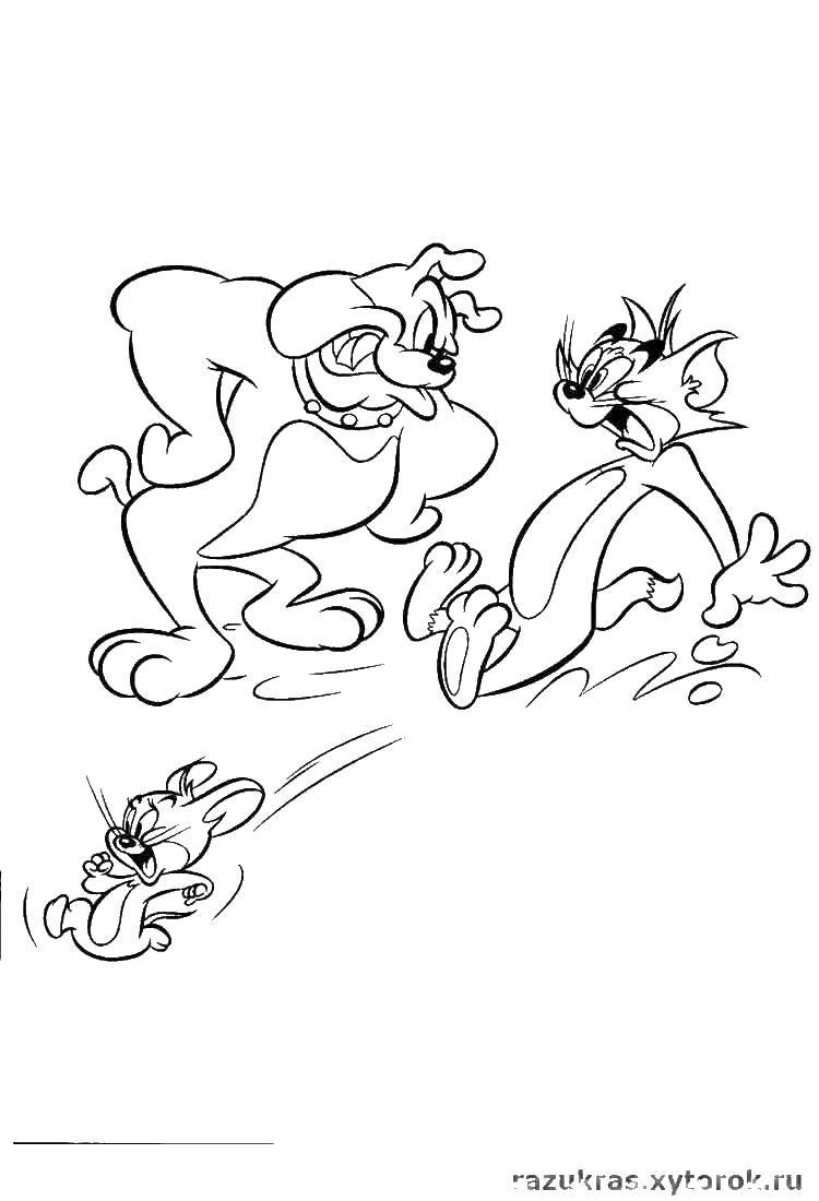 Раскраска Том, Джери и пес - изображение (развлечение, персонажи, цвета)