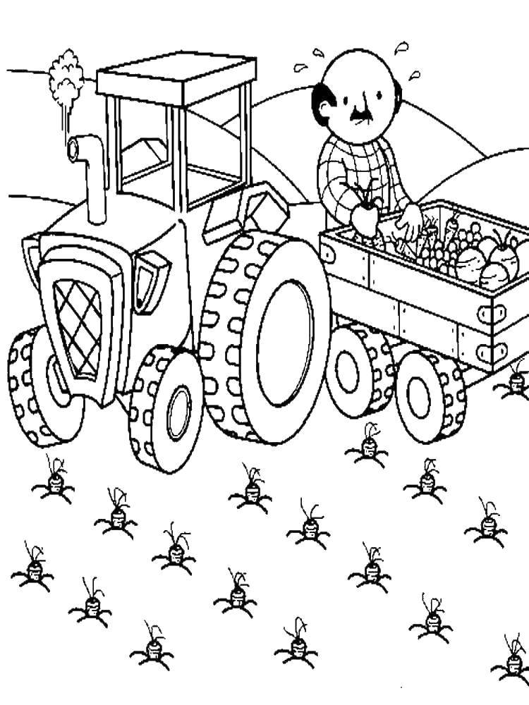 Раскраска трактора для мальчика (трактор, тракторист)