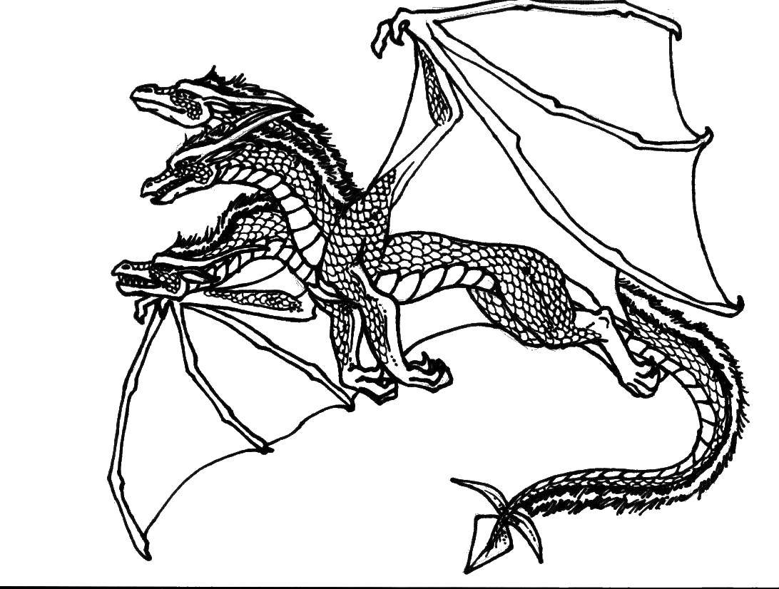 Раскраска мультфильма Драконы для детей (драконы)
