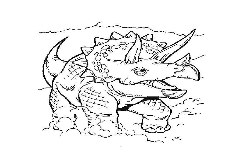 Раскраска динозавра Трицератопса для детей (трицератопс)