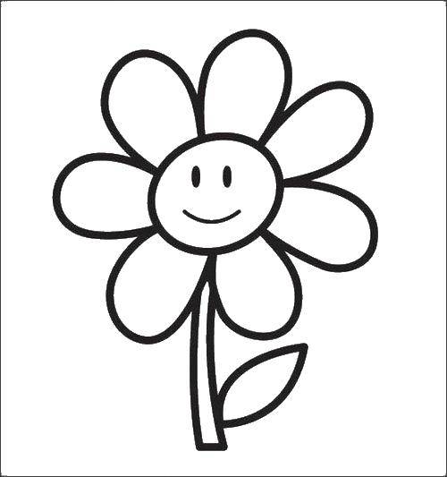 Раскраски Цветы для девочек (цветы, цветочек)