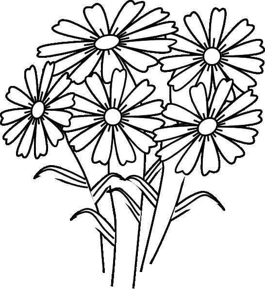 Раскраска с цветами для детей (растения, бутоны, цветочки)