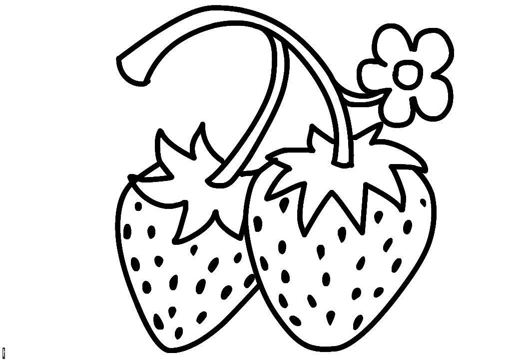 Раскраски цветочки для девочек: Цветы и ягоды, земляника, клубника (цветы, земляника, клубника)
