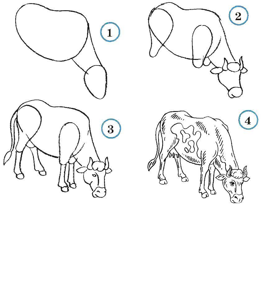 Раскраска коровы для детей (корова, поэтапно)