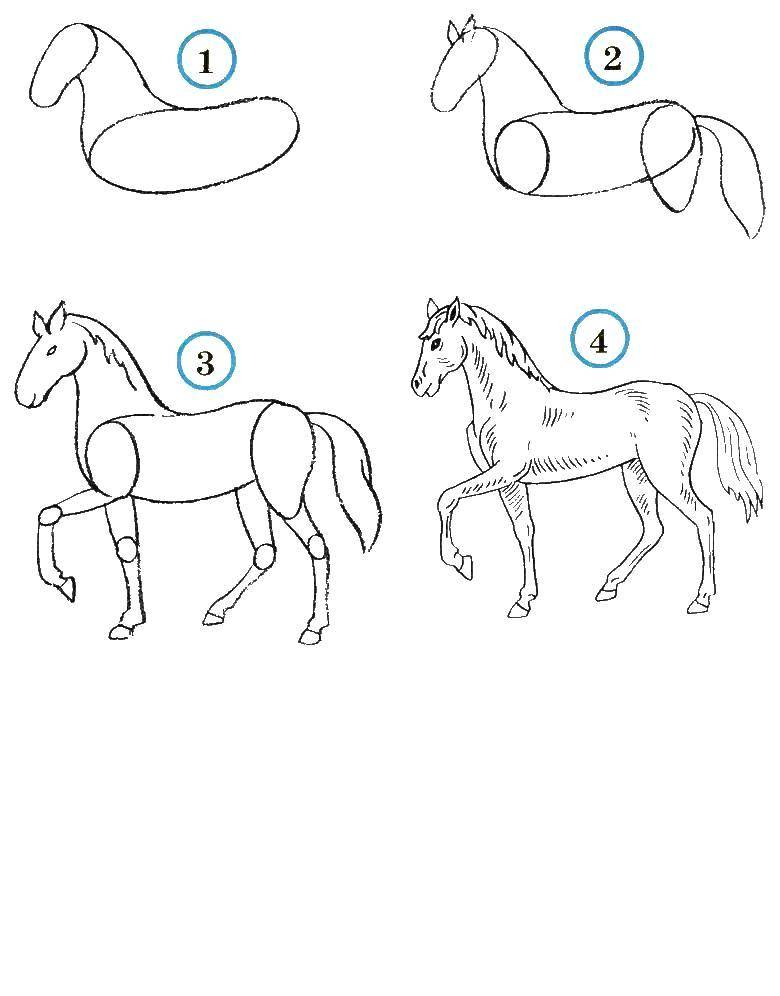 Раскраска лошади для детей (лошадь, поэтапно)