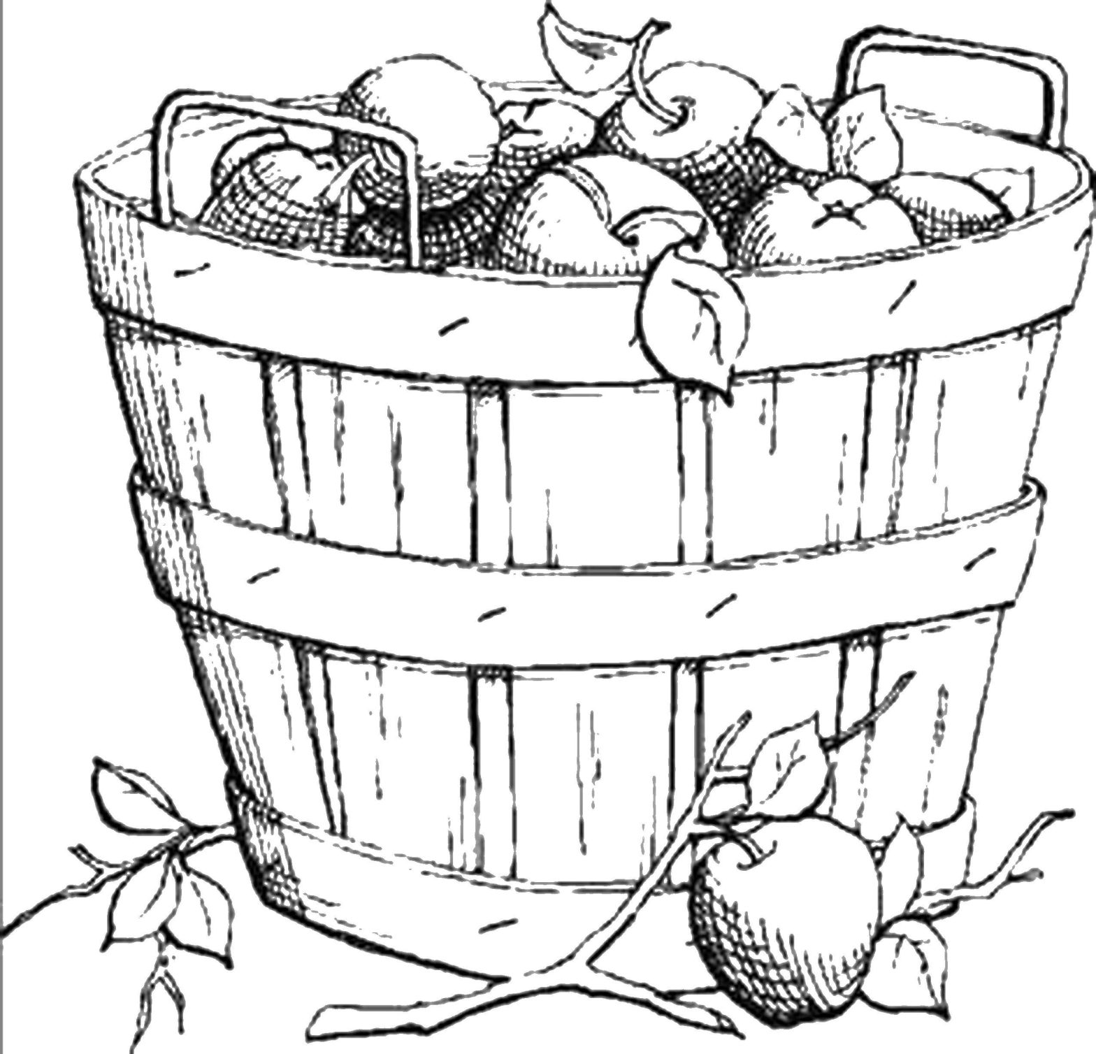 Раскраска фрукты - яблоки в ведерке для детей (яблоки)