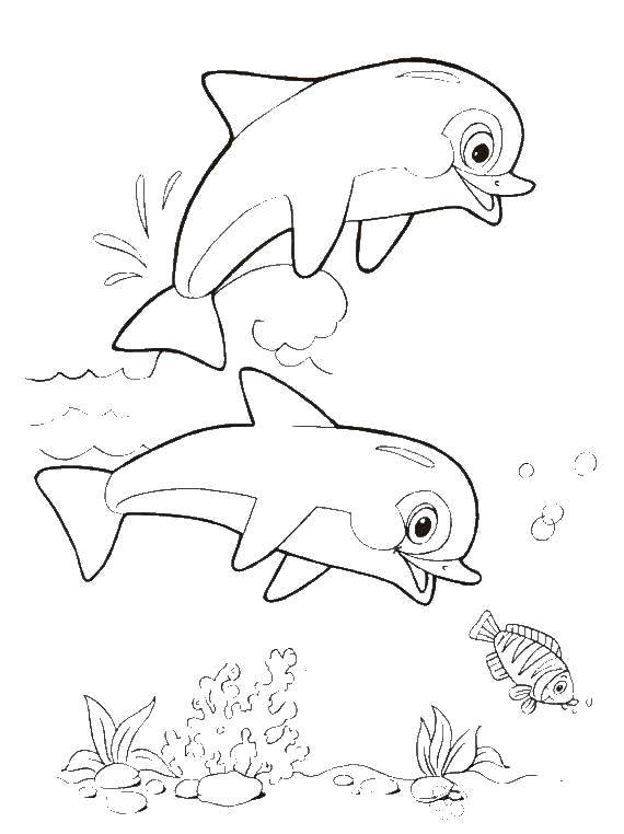 Раскраска морского подводного мира с дельфинами для детей (дельфины)