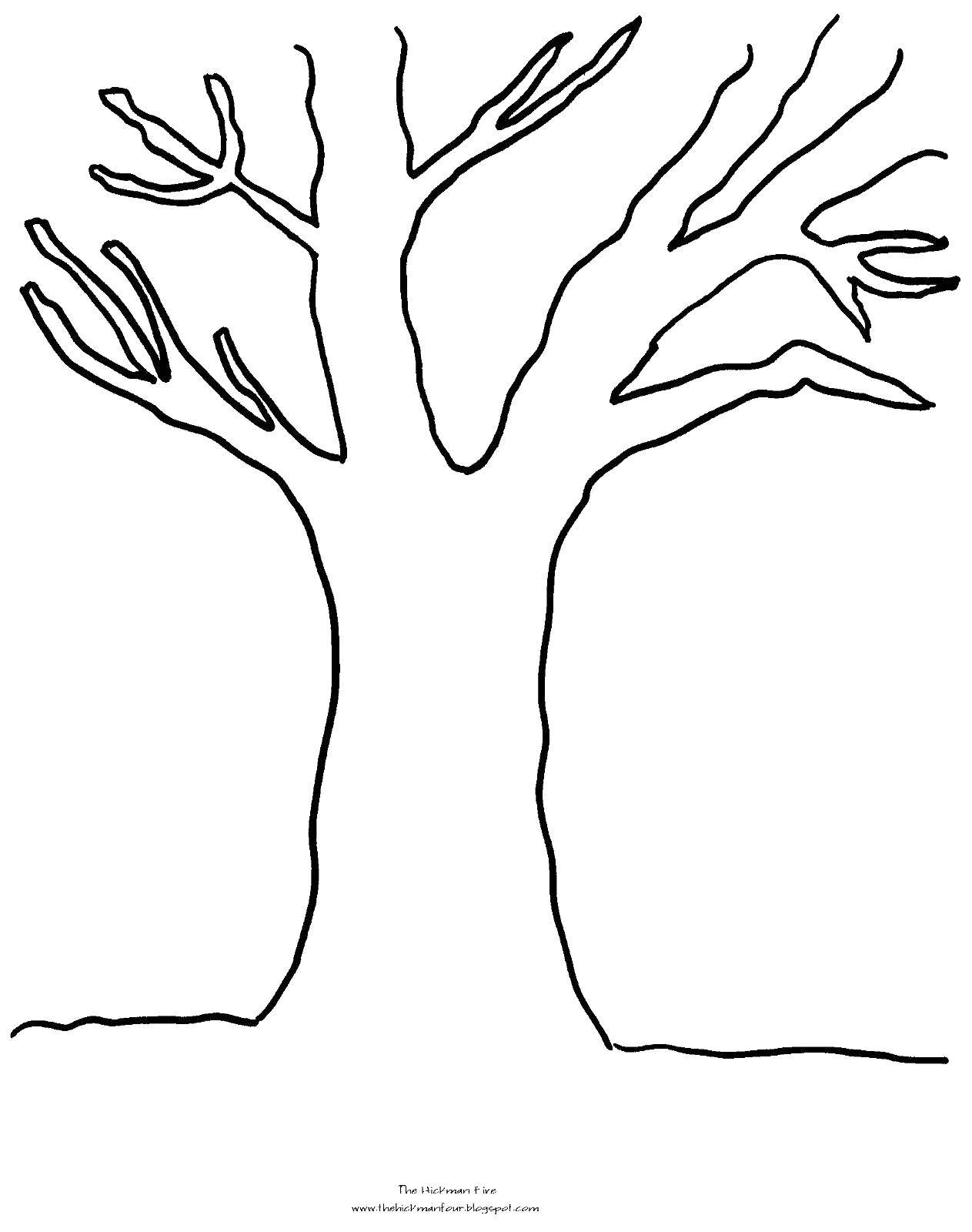Контур дерева для раскрашивания (дерево, ветки)