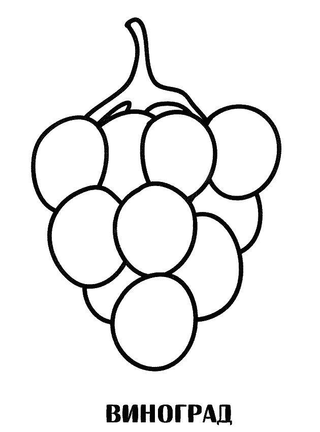 Раскраска с виноградом для малышей (виноград)