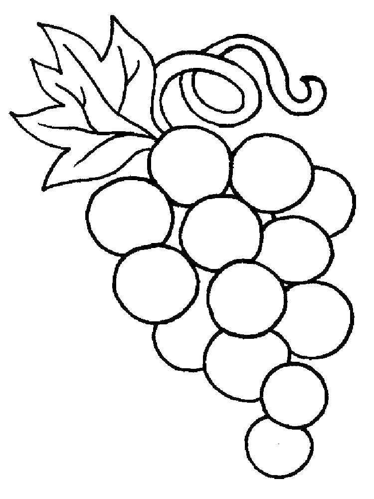 Раскраска виноград Ягоды для детей (виноград, Ягоды)