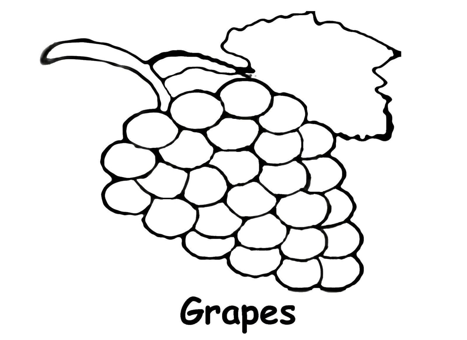 Раскраска винограда для детей (виноград)