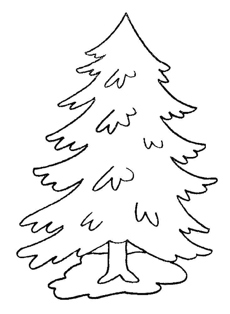 Раскраска деревьев для детей (ёлка, береза)