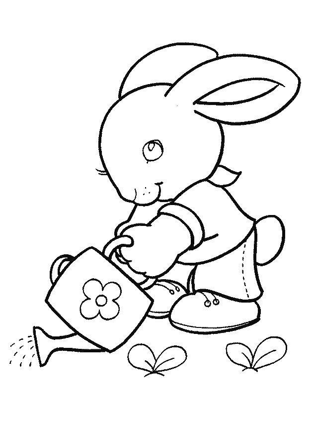 Раскраска зайца и лейки для малышей (заяц, лейка)