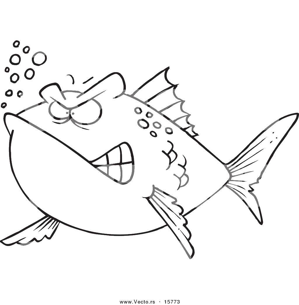 Раскраска рыбы - изображение для раскраски рыбки