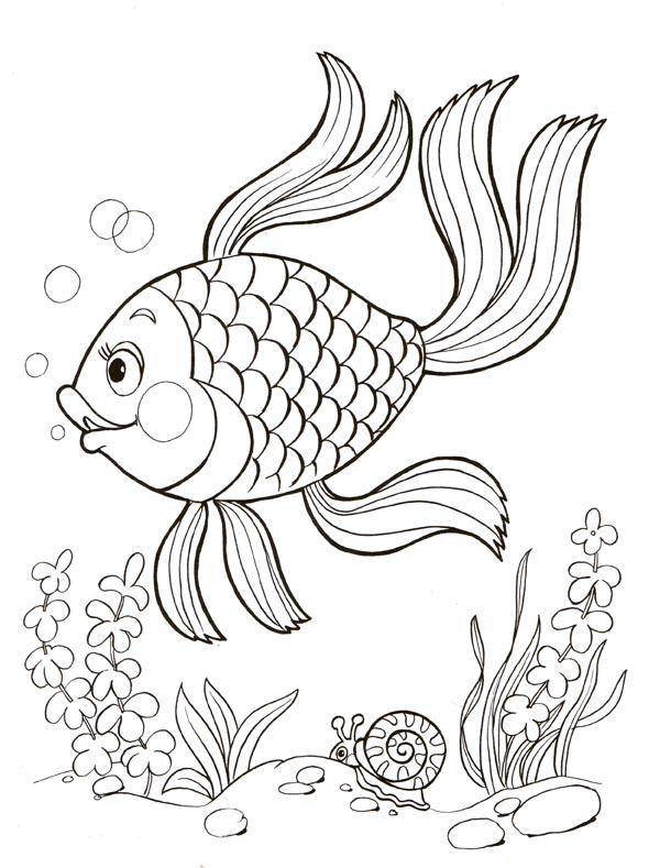 Раскраска с золотой рыбкой - развивающее занятие для детей (золотая, рыбка, дети)