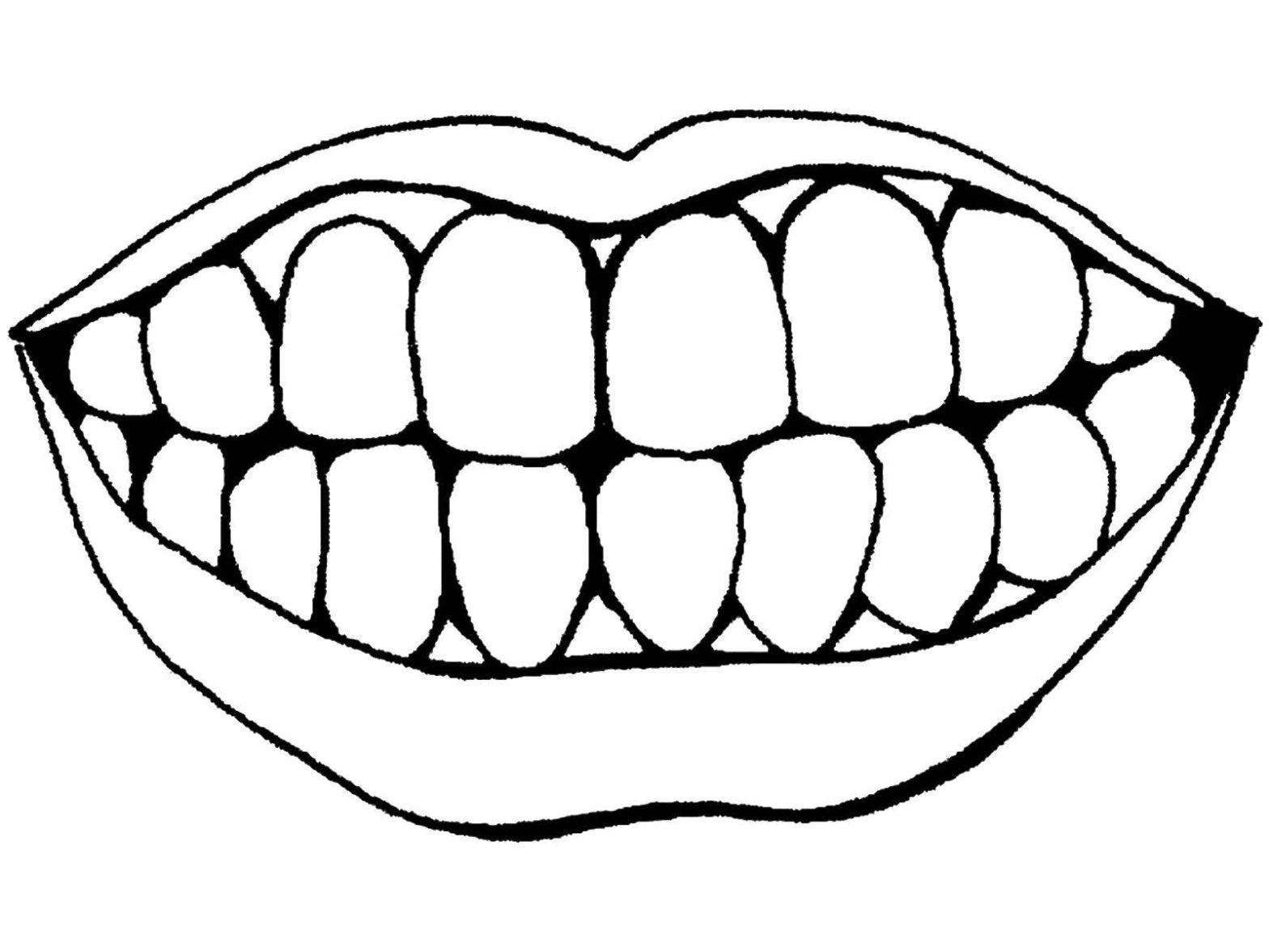 Раскраски Строение тела Рот, зубы для детей (зубы, рот, здоровье)