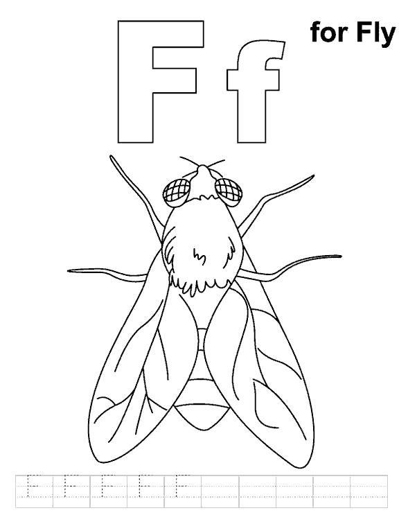 Раскраска Муха для развития моторики (муха)