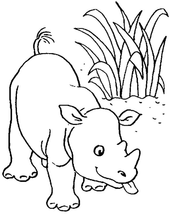 Раскраска дикого животного Носорог для мальчиков и девочек (носорог, развивающие)