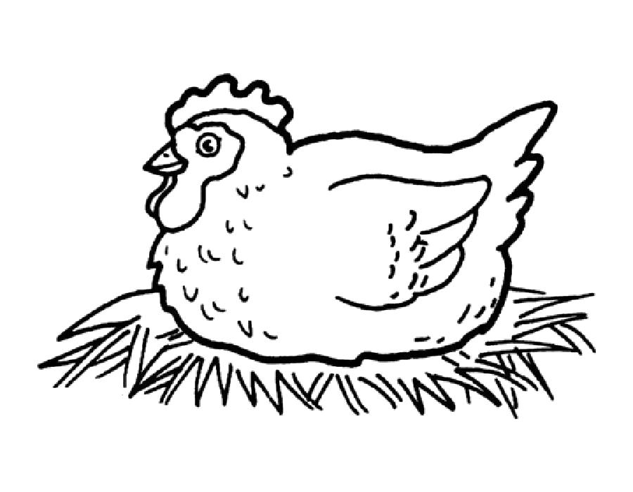 Раскраска курица - детская активность для праздников (курица)