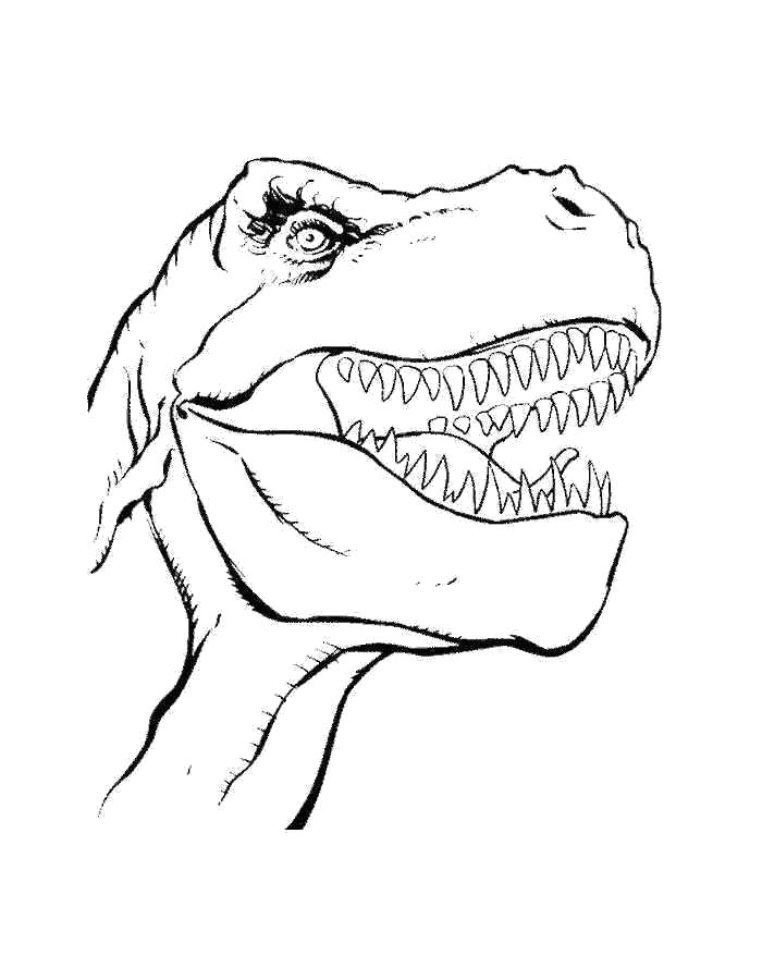 Раскраска динозавра на белом фоне