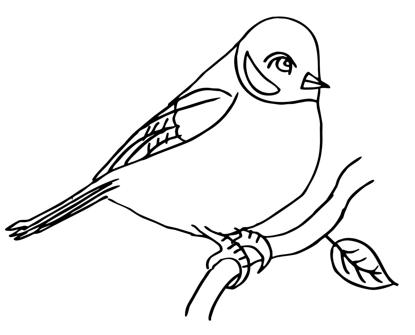 Раскраска с птицами для детей (птицы)