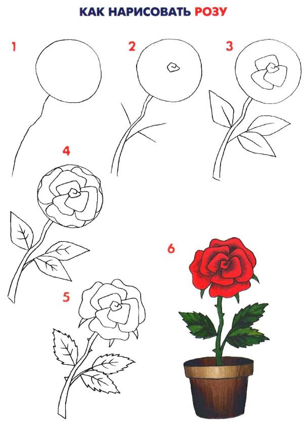 Раскраска цветов для детей (учимся, рисовать, цветы, легко)