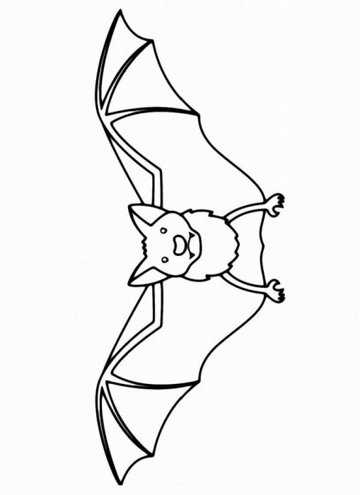 Раскраска страшных летучих мышей для девочек и мальчиков (страшные)