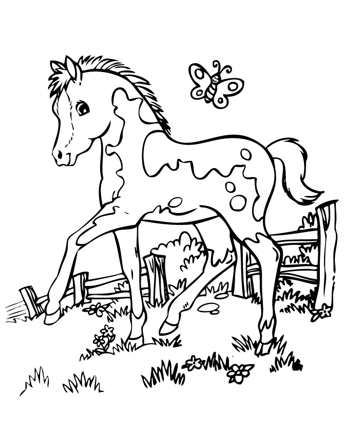 Раскраска с конем на лугу (коллекция)
