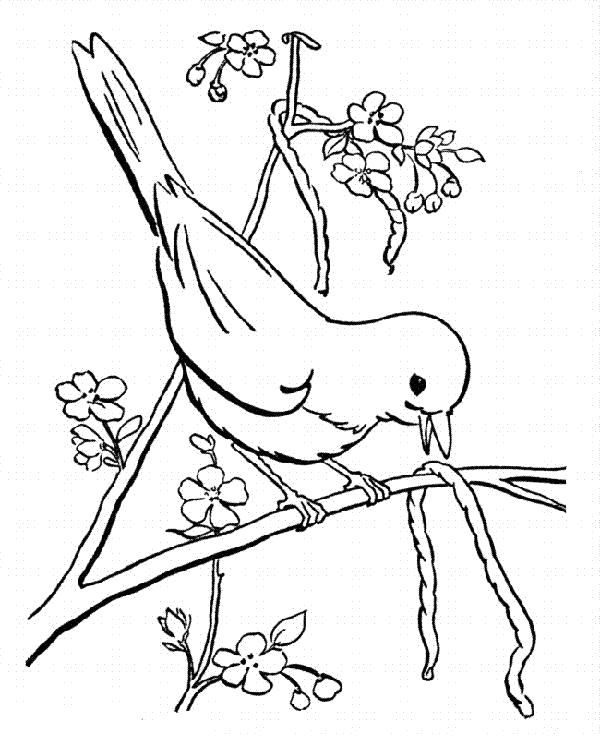 Раскраска на тему Весна с изображением цветущих деревьев и птиц