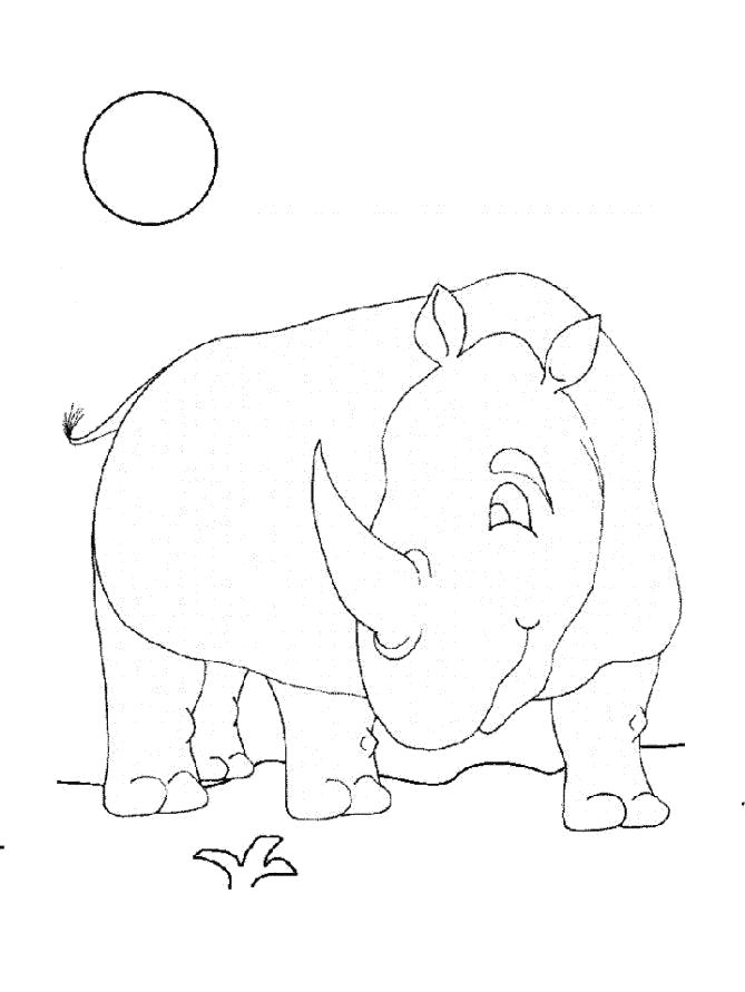 Раскраска Носорог (Носорог, раскрасить)