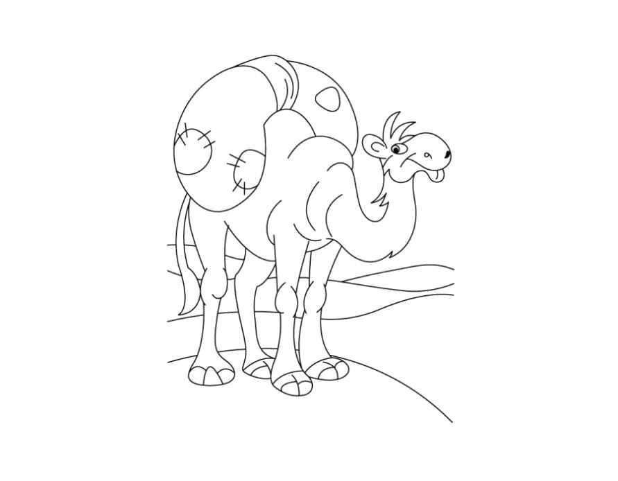Раскраска Верблюд - изображение верблюда для раскрашивания (верблюд, занятие, рисунок)