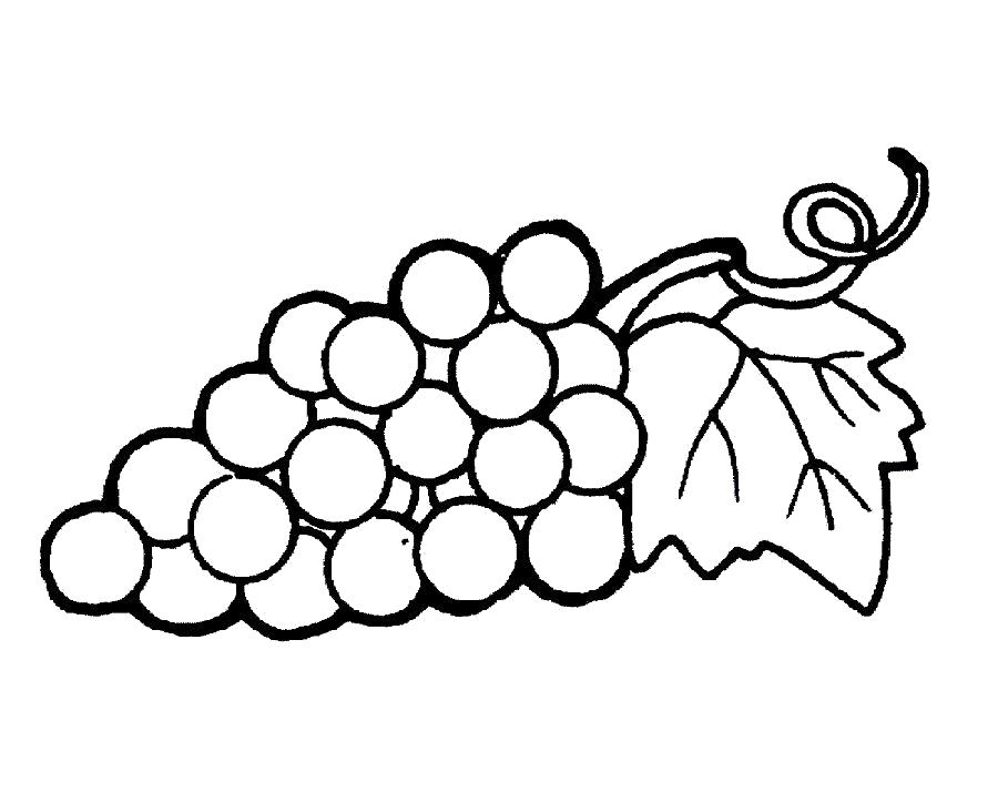 Раскраска ягод виноград для детей (ягоды, виноград)