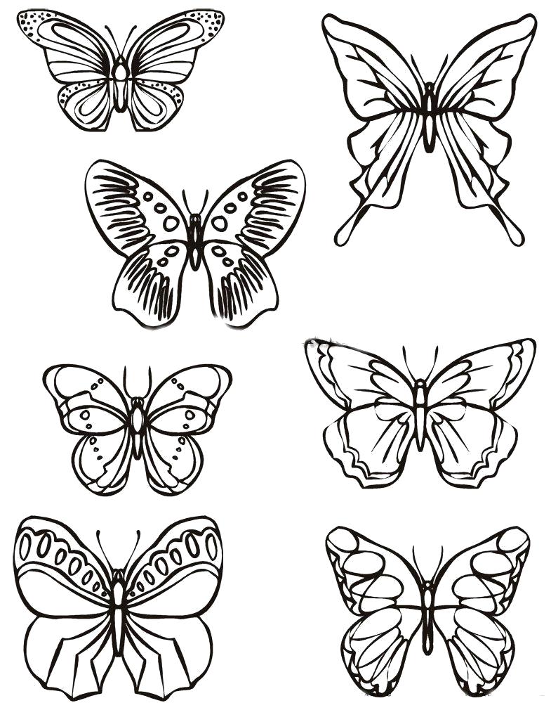 Раскраска на тему насекомых Бабочки для детей (бабочки)