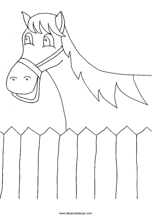 Раскраска Лошадка для девочек (лошадка)