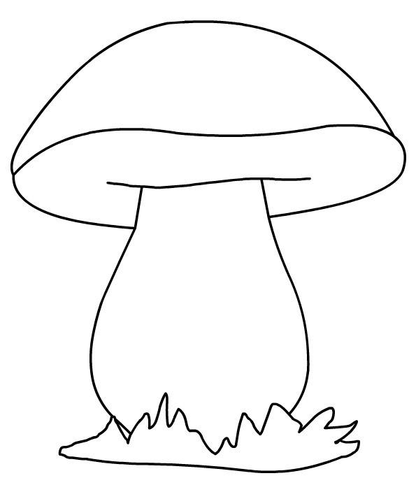 Раскраска грибочков для детей