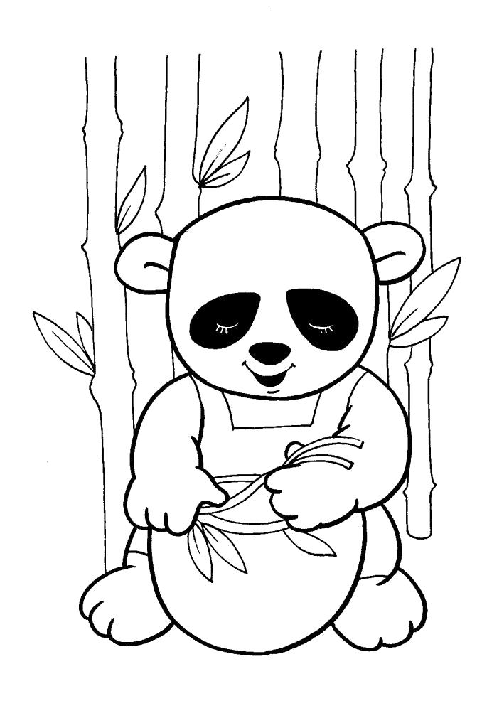 Дикая животная Панда - раскраска для детей (Панда, животные)