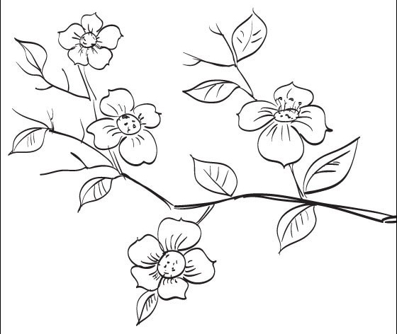 Раскраски с садовыми деревьями для развития детей на A4 бесплатно (сакура, A4)