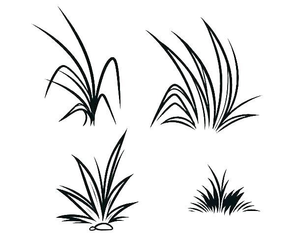 Раскраска про траву для развития детей (трава, развитие)