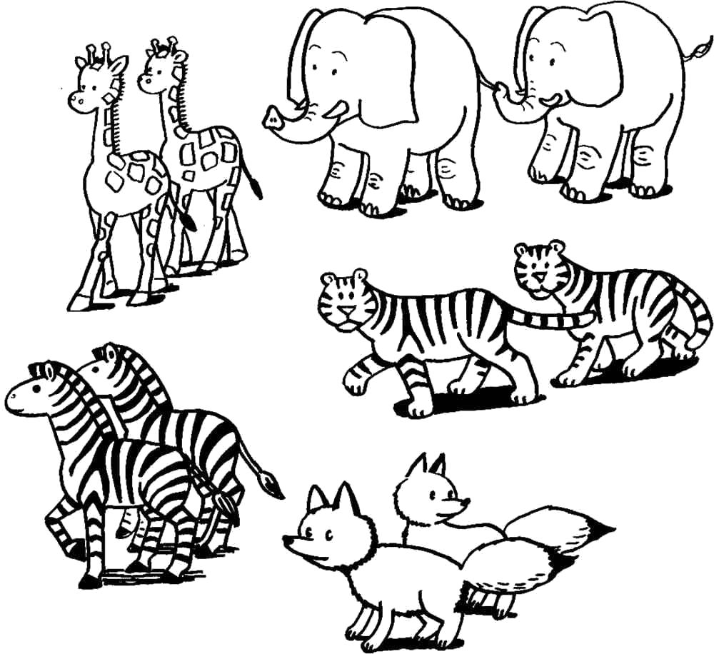 Раскраски диких животных: тигр, слон, жираф, зебра, лиса (лиса)